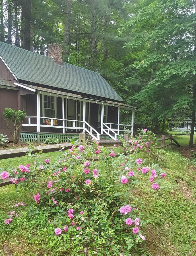 The Cabins At Healing Springs Crumpler Extérieur photo